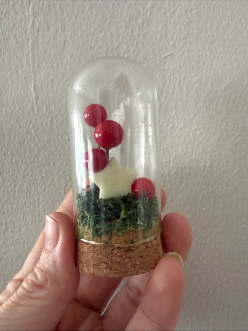 Mini Red Berry Cloche with Cork Base